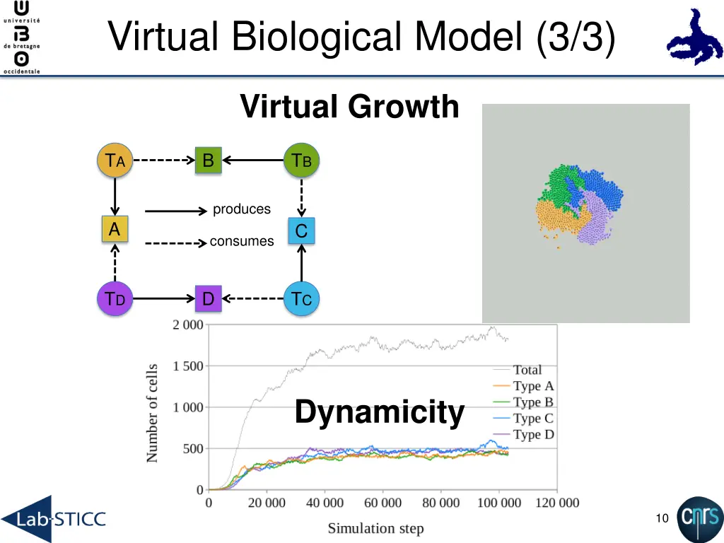 virtual biological model 3 3