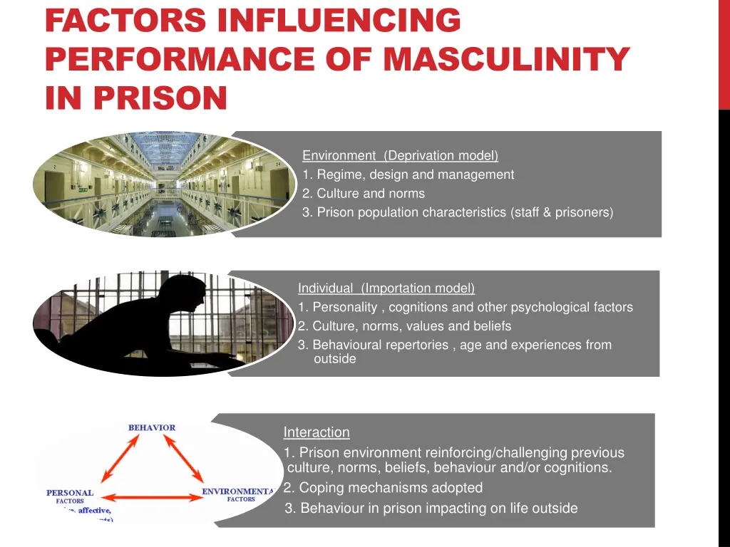 factors influencing performance of masculinity