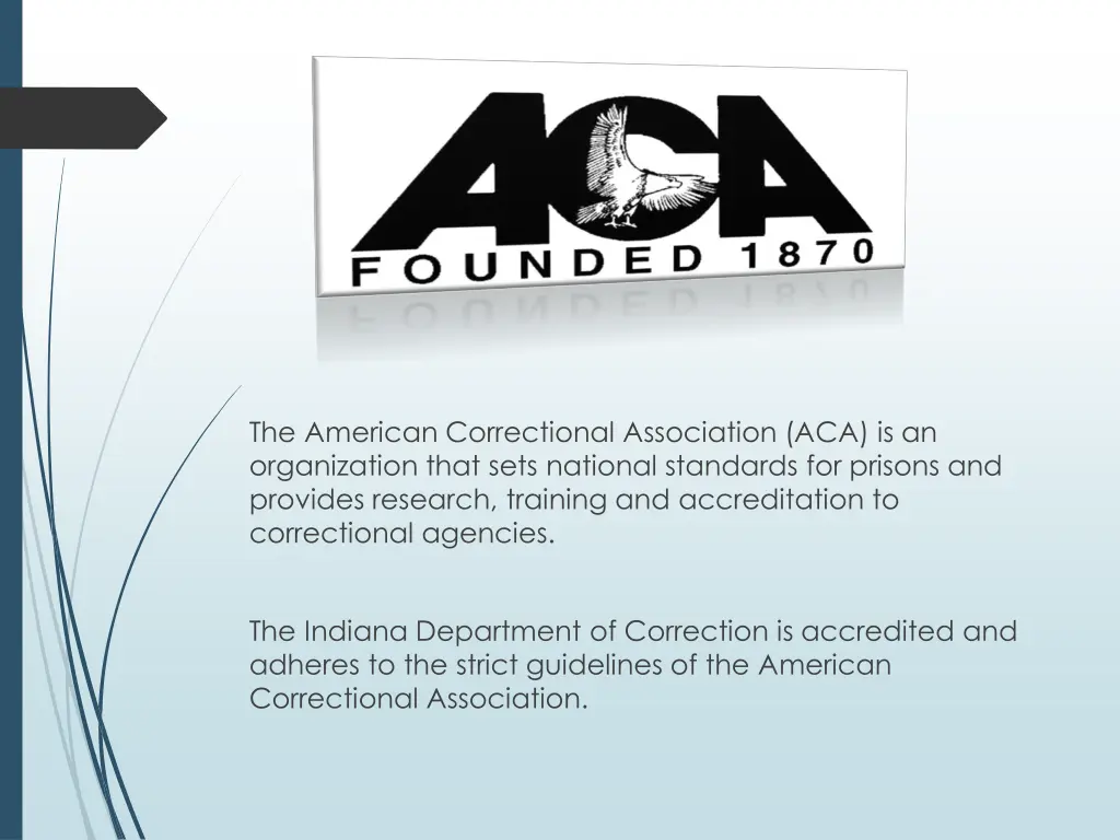 the american correctional association