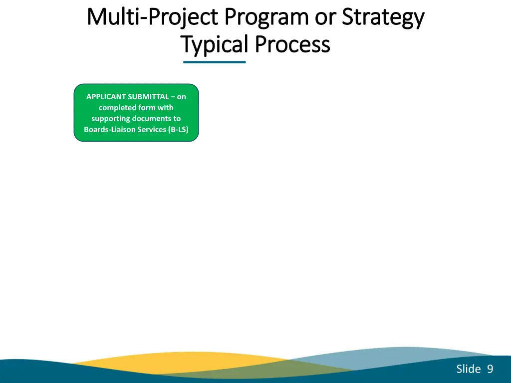 multi multi project program or strategy project