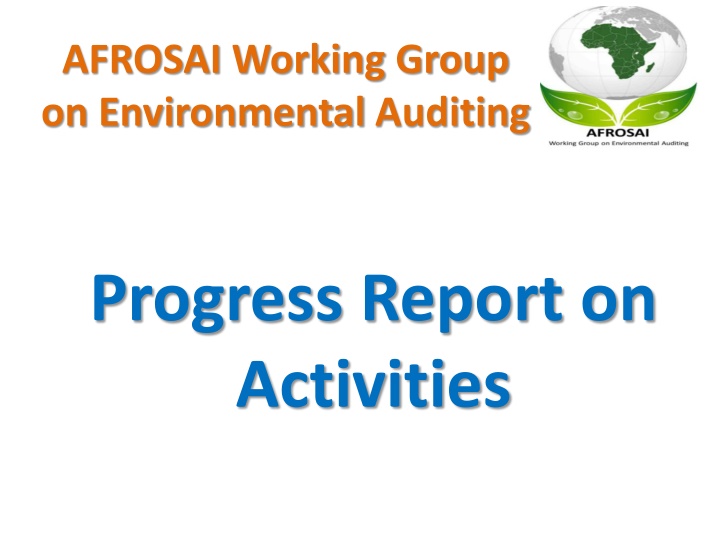 afrosai working group on environmental auditing