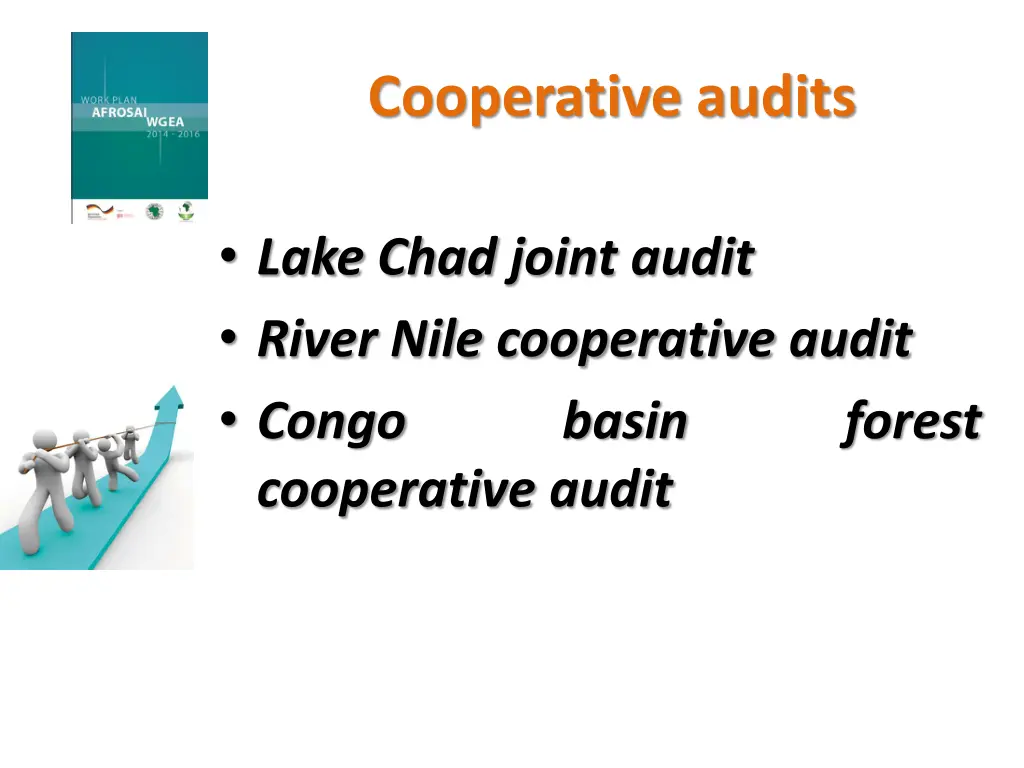 cooperative audits