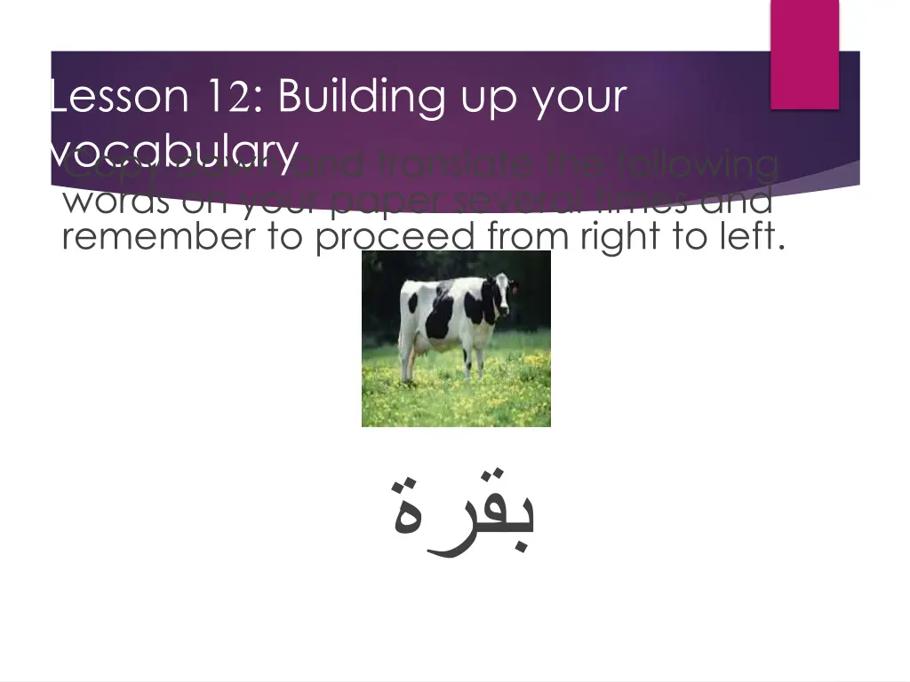 lesson 1 2 building up your vocabulary copy down 3