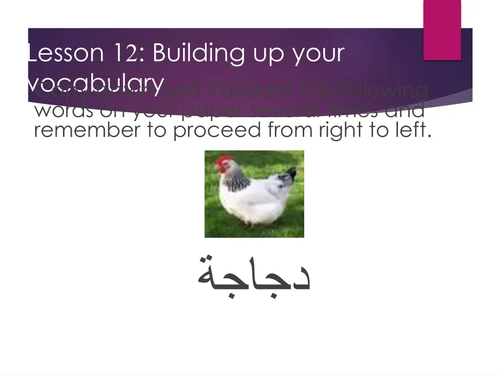 lesson 1 2 building up your vocabulary copy down 4