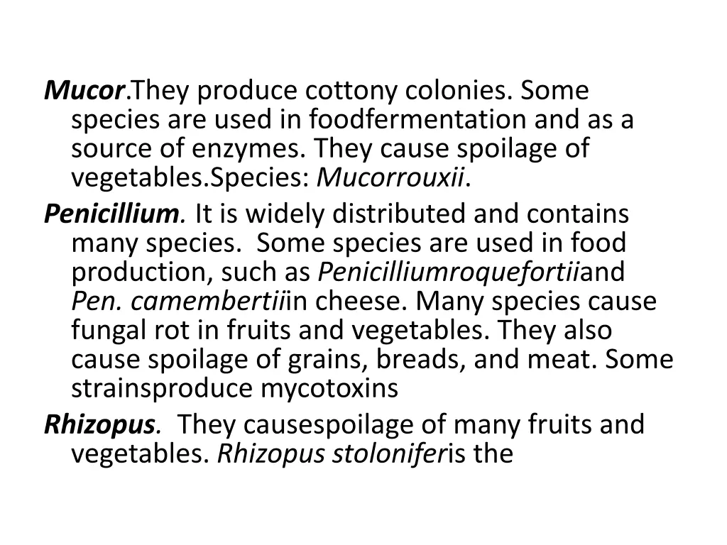 mucor they produce cottony colonies some species