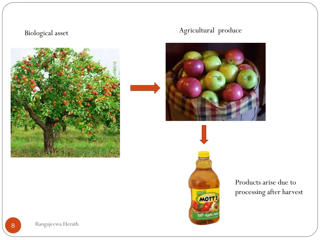 agricultural produce 1