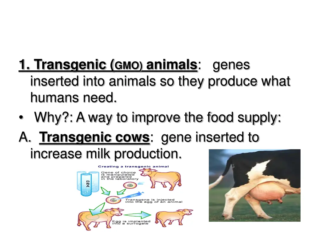 1 transgenic gmo animals genes inserted into