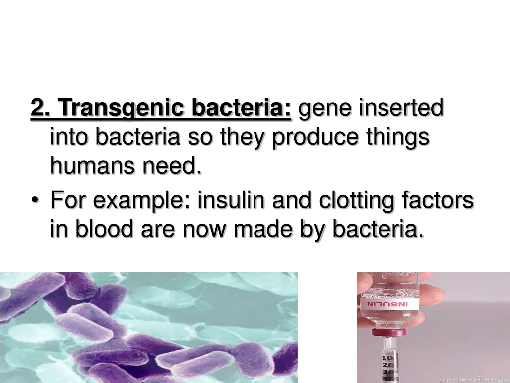 2 transgenic bacteria gene inserted into bacteria