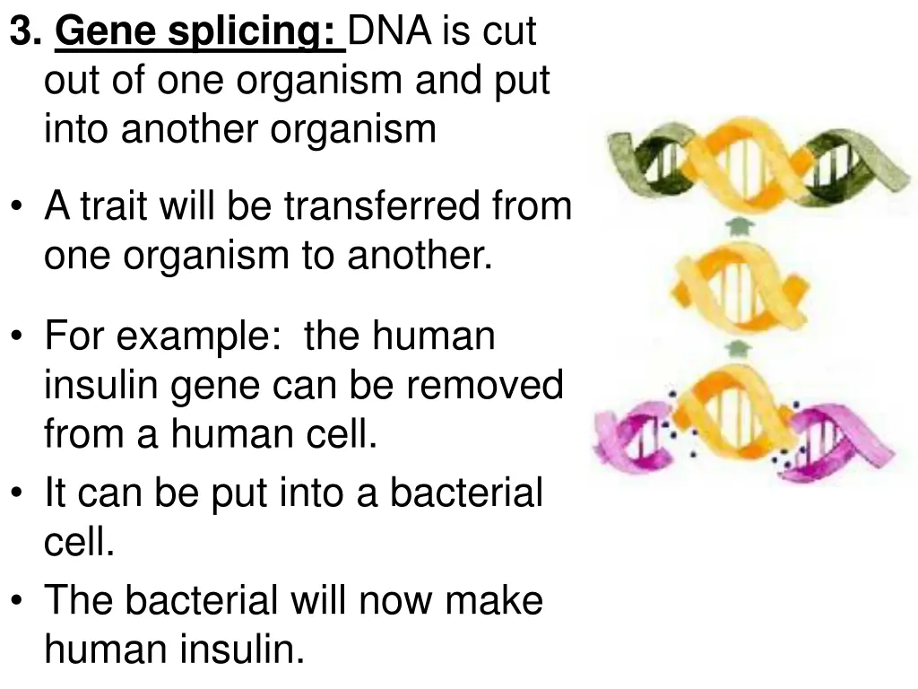 3 gene splicing dna is cut out of one organism