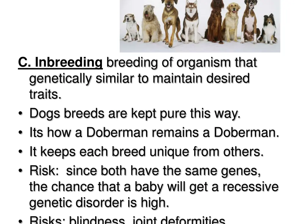 c inbreeding breeding of organism that