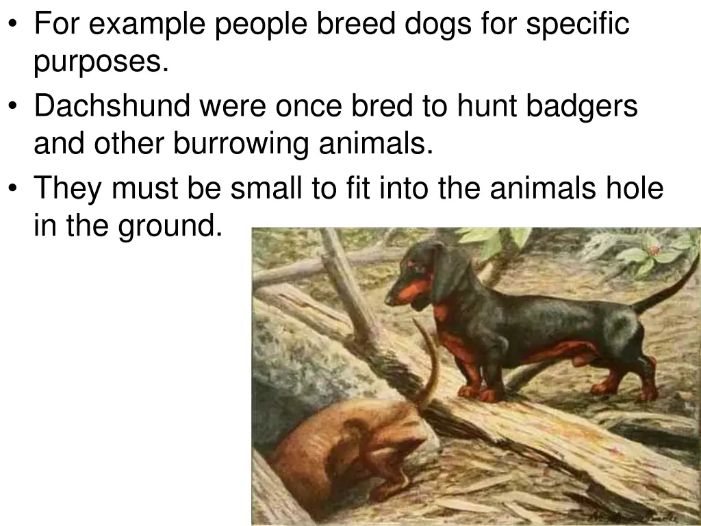 for example people breed dogs for specific