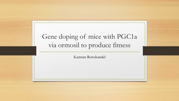 gene doping of mice with pgc1a via ormosil