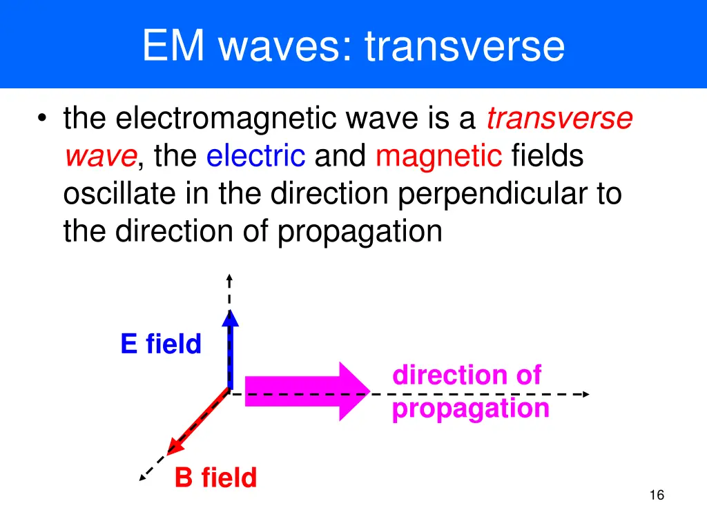 em waves transverse