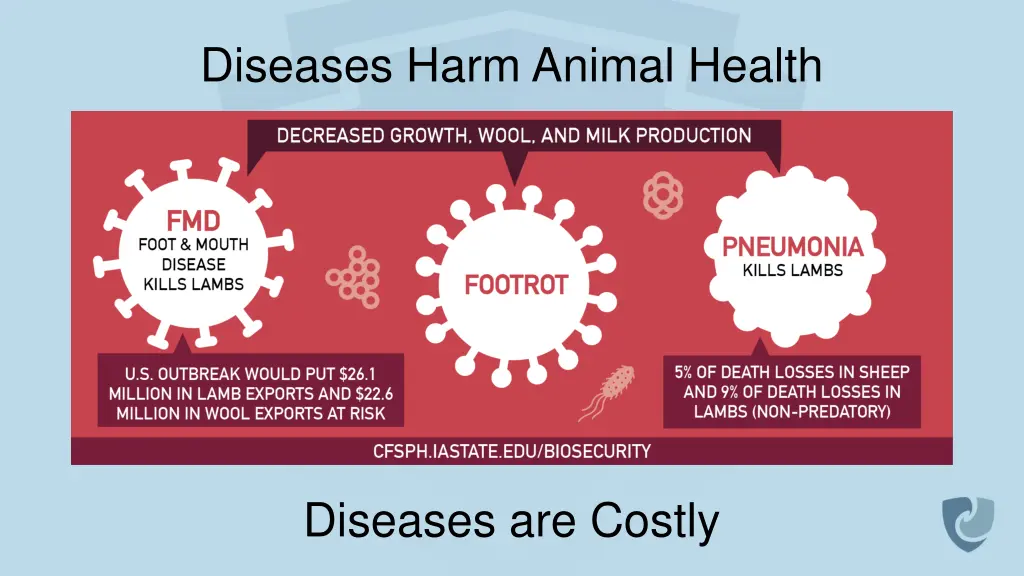 diseases harm animal health