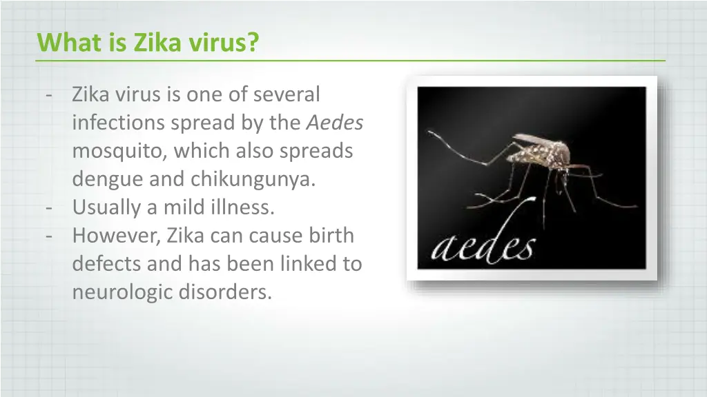 what is zika virus