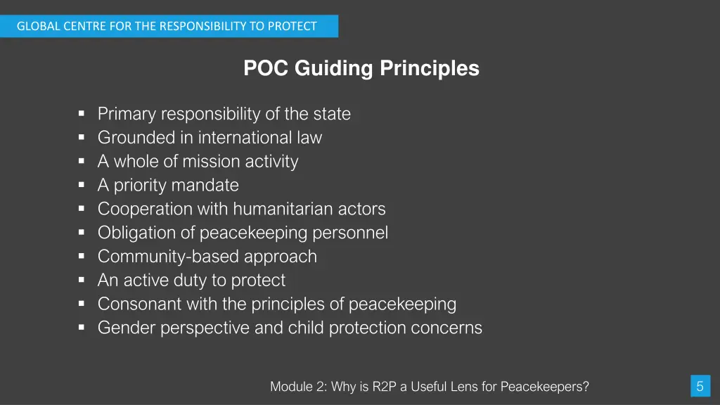 global centre for the responsibility to protect 4