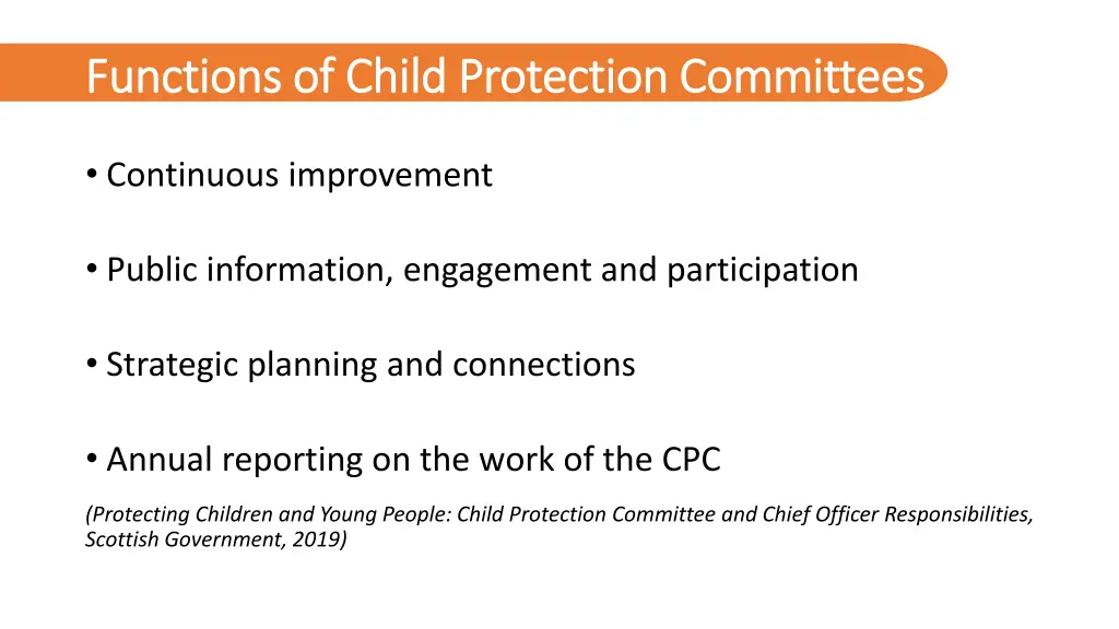 functions of child protection committees