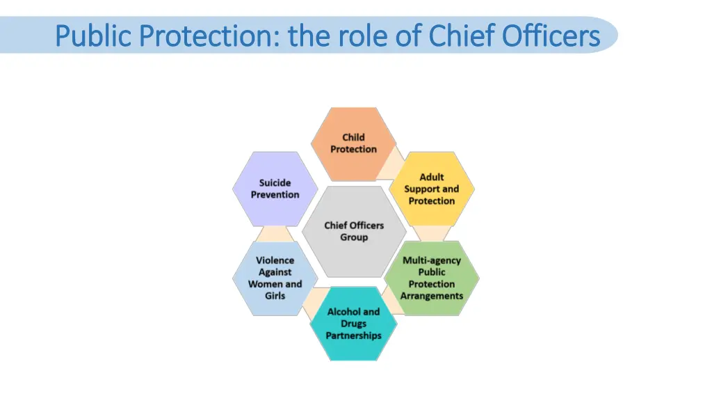 public protection the role of chief officers