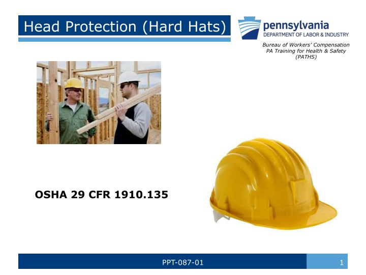 head protection hard hats