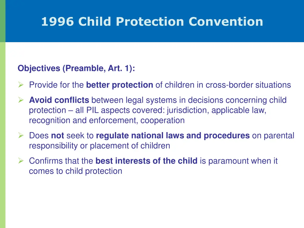 1996 child protection convention