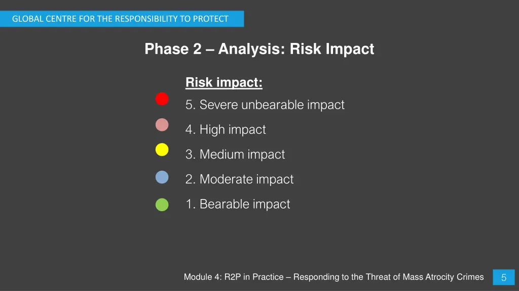 global centre for the responsibility to protect 5