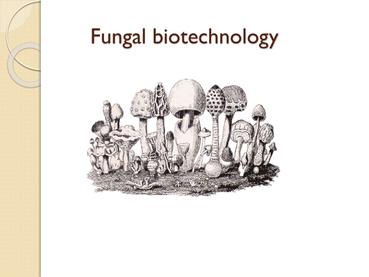 fungal biotechnology