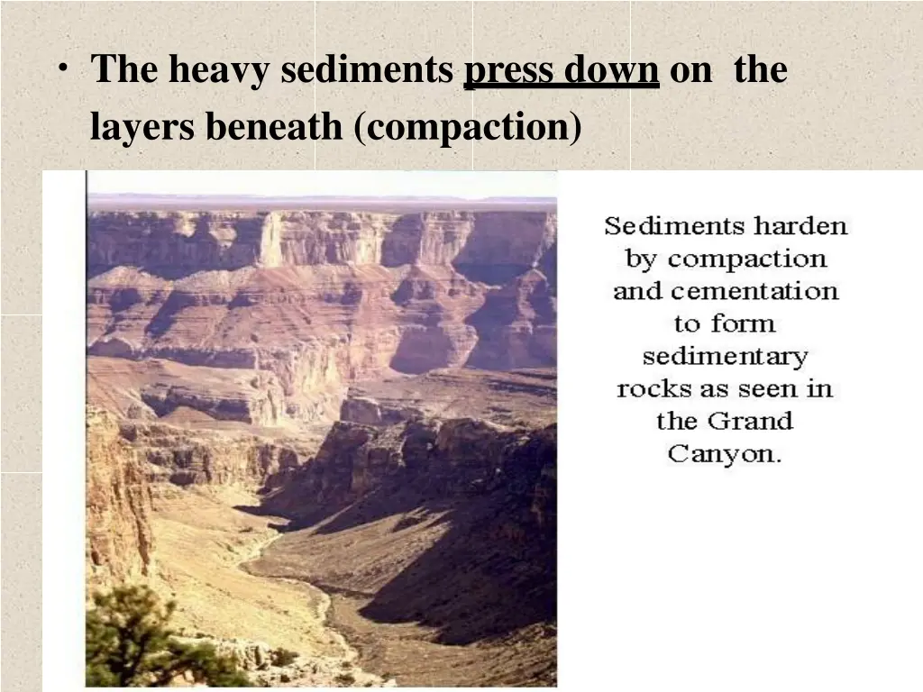 the heavy sediments press down on the layers