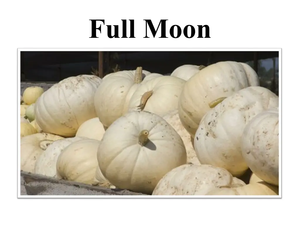 full moon