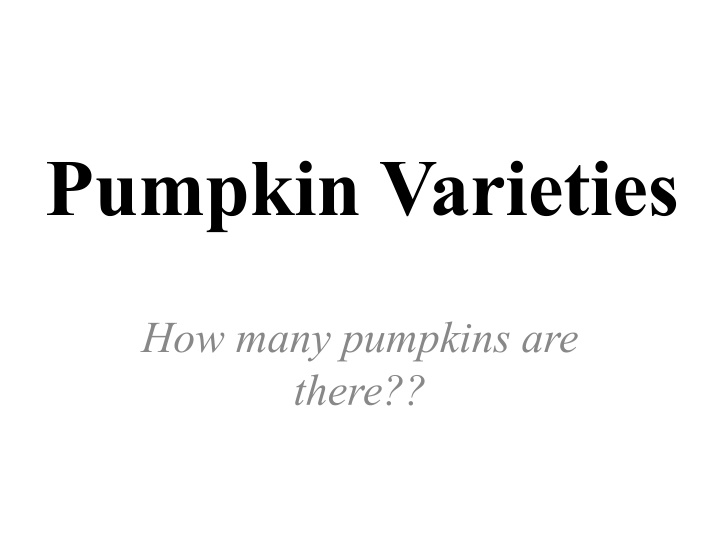 pumpkin varieties