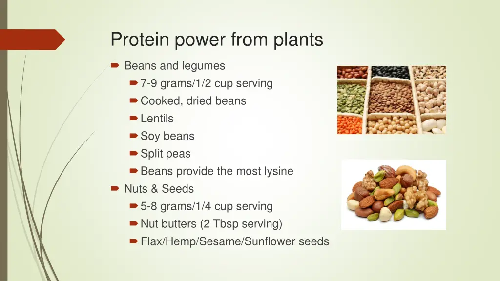 protein power from plants