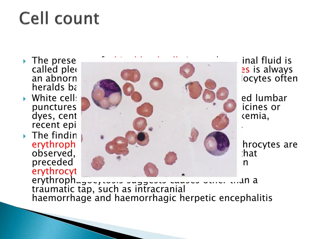 the presence of white blood cells