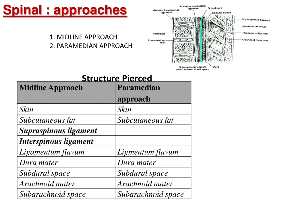 spinal approaches