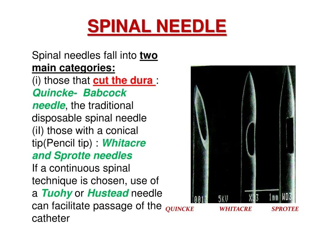 spinal needle