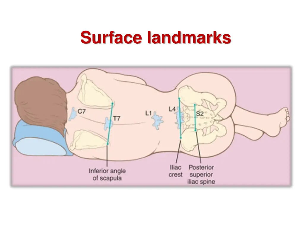 surface landmarks