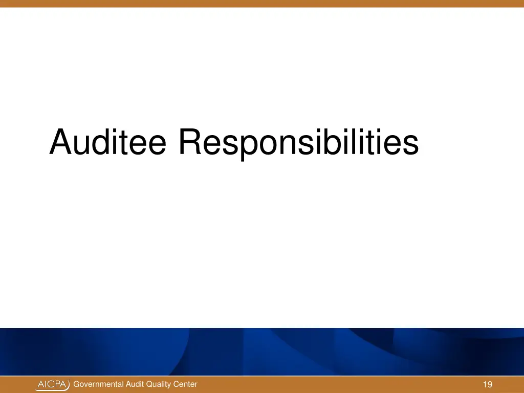 auditee responsibilities