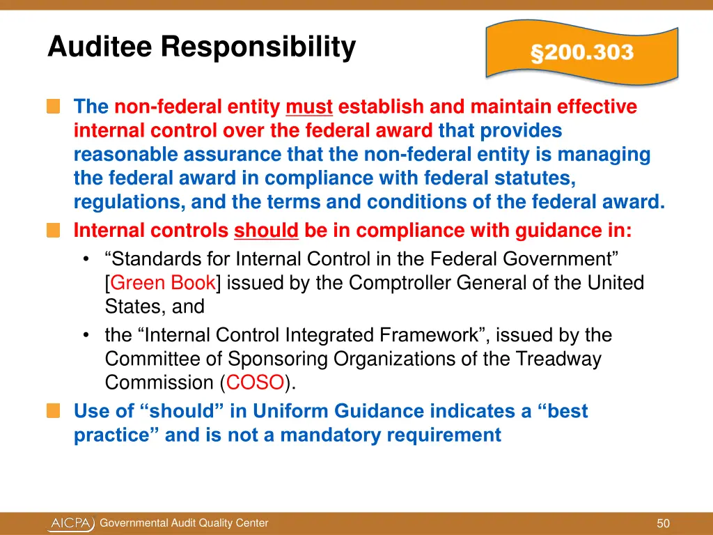 auditee responsibility the non federal entity