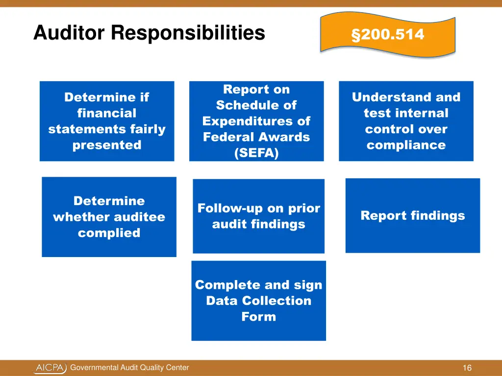 auditor responsibilities