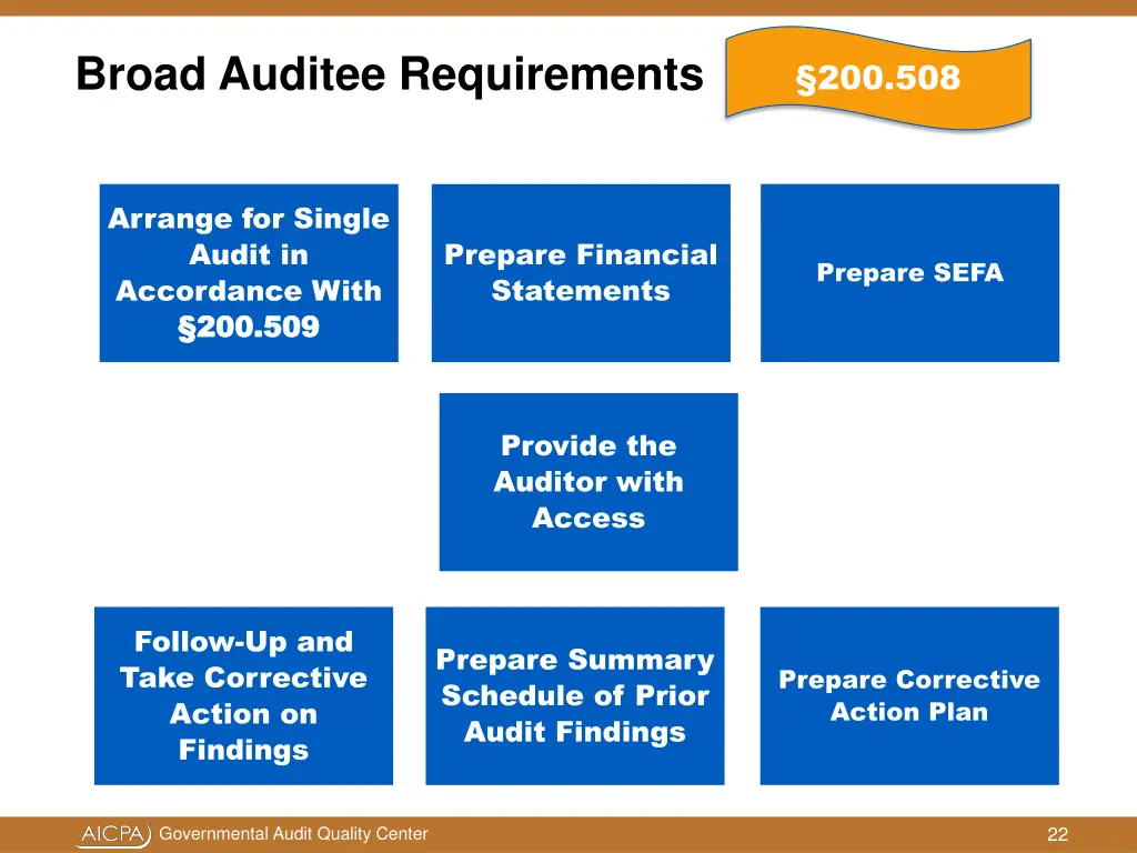 broad auditee requirements