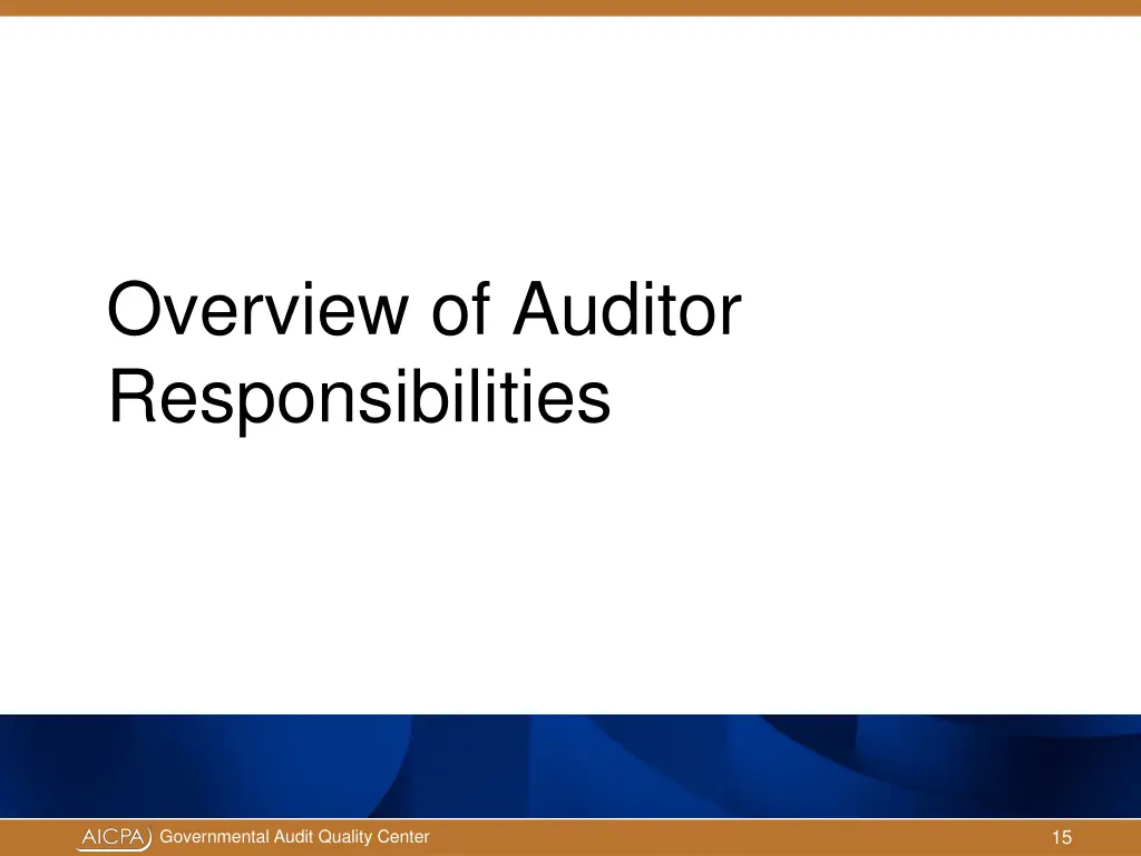 overview of auditor responsibilities