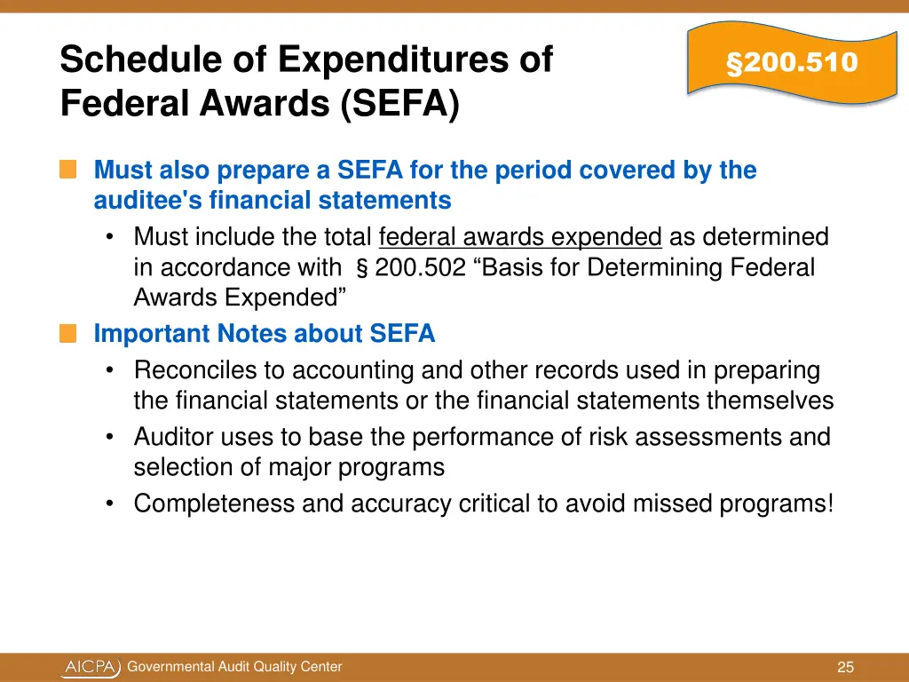 schedule of expenditures of federal awards sefa