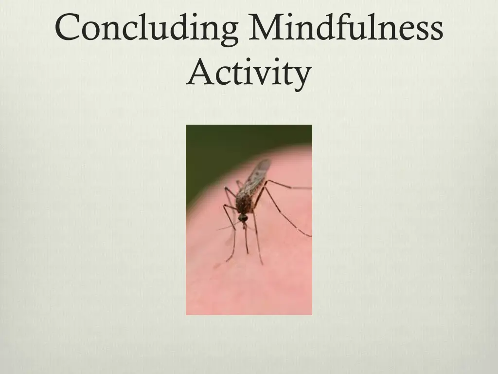 concluding mindfulness activity