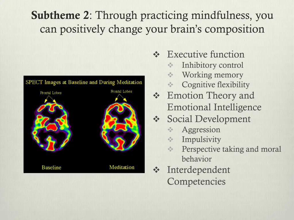 subtheme 2 through practicing mindfulness