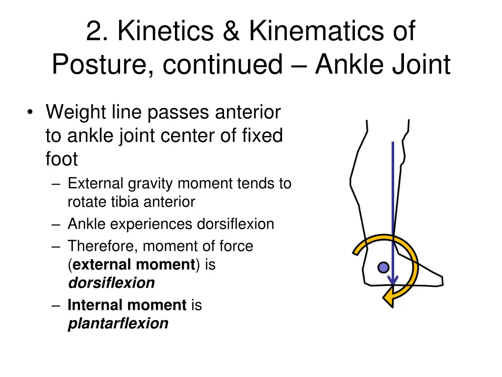 2 kinetics kinematics of posture continued ankle