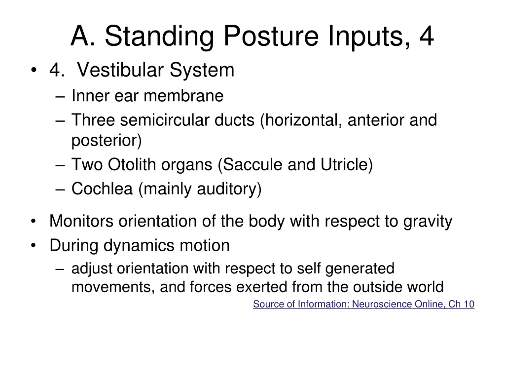 a standing posture inputs 4 4 vestibular system