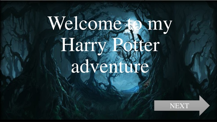 welcome to my harry potter adventure