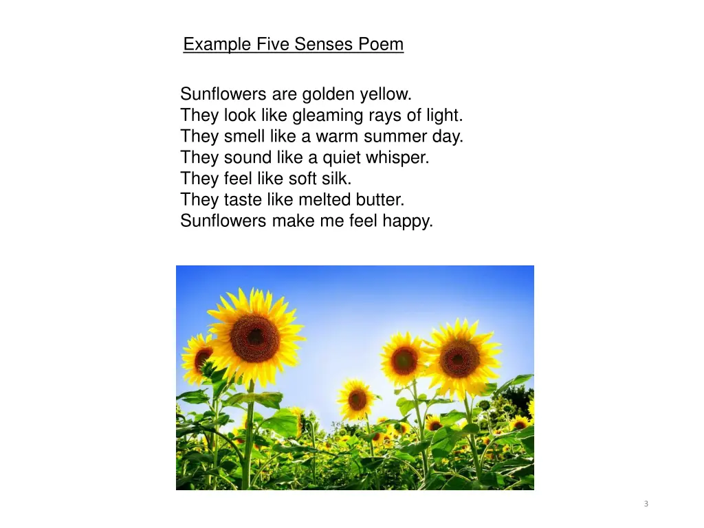 example five senses poem