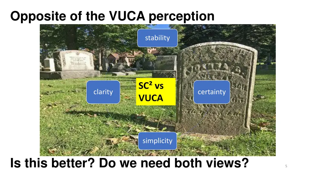 opposite of the vuca perception