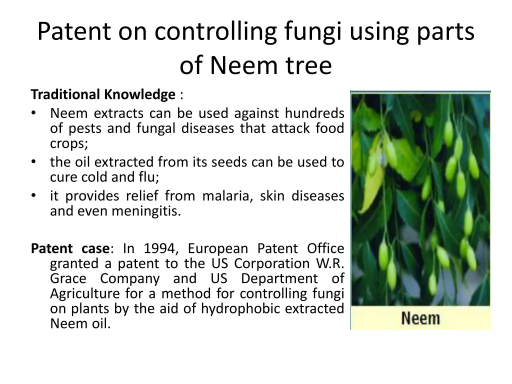 patent on controlling fungi using parts of neem