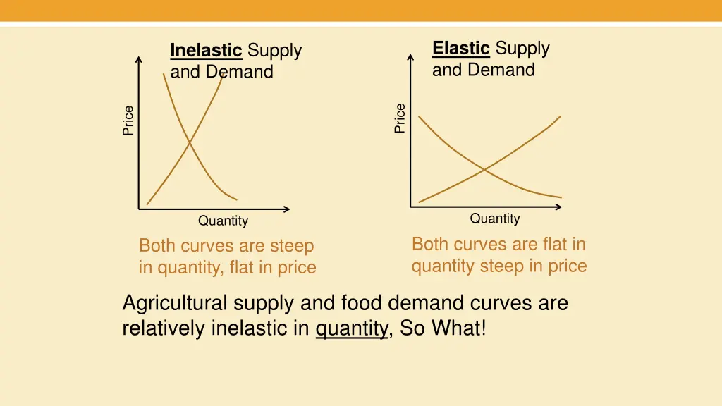 elastic supply and demand