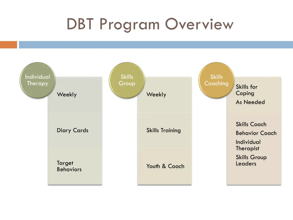 dbt program overview